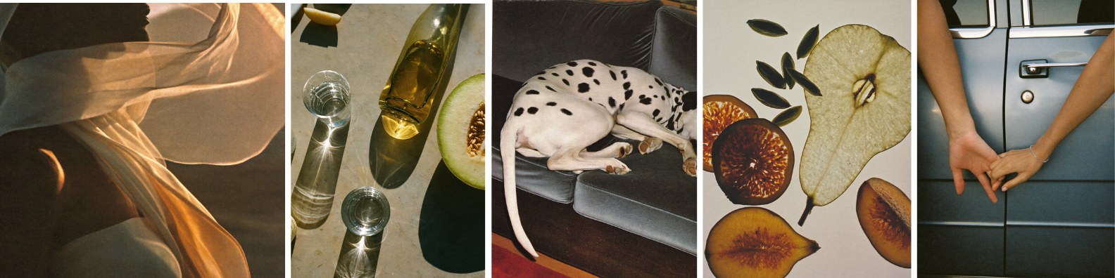 Five warm editorial frames: sheer fabric in sunlight, glassware beside cut melon, a dalmatian on a leather sofa, pressed fruit, and hands resting against a blue car door